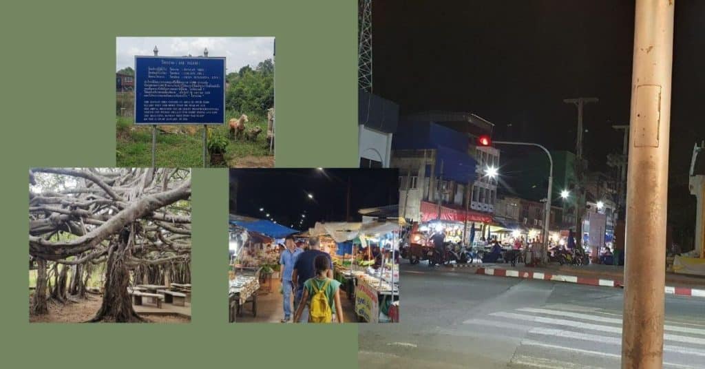 phimai clock tower and largest banyan mangrove